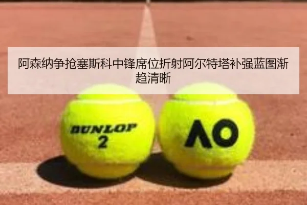 阿森纳争抢塞斯科中锋席位折射阿尔特塔补强蓝图渐趋清晰